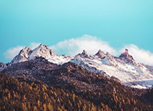 运动品牌这场仗，2024年还要比基本功