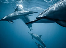 运动品牌这场仗，2024年还要比基本功